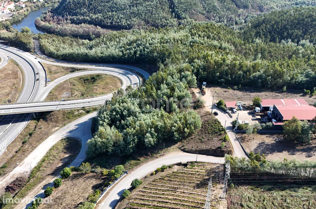 Terreno | Penacova | Porto da Raiva | 5984 m2 - Grande imagem: 2/16