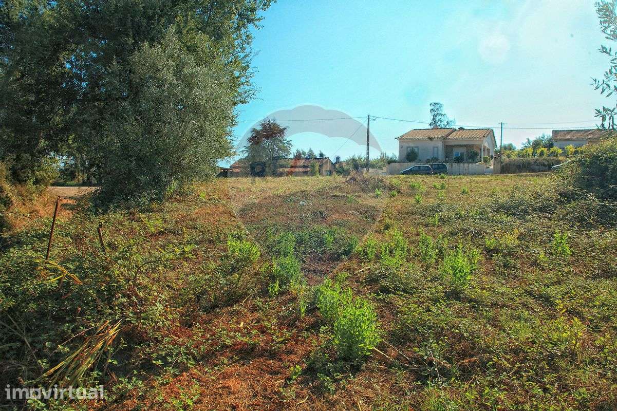 Terreno  para venda - Grande imagem: 3/7