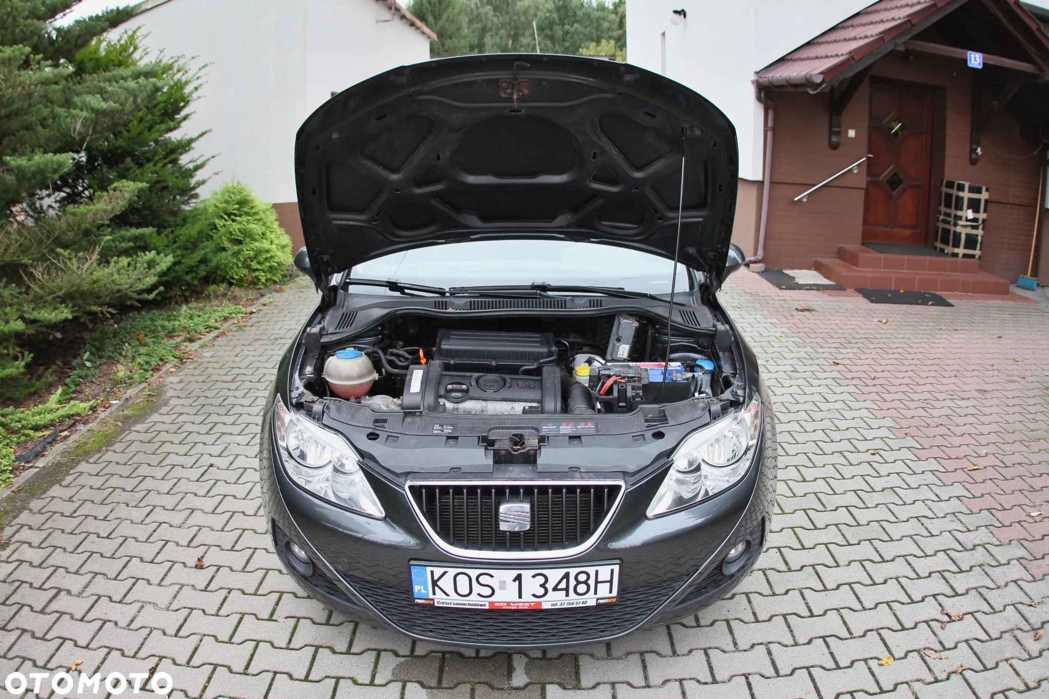 Seat Ibiza - 36