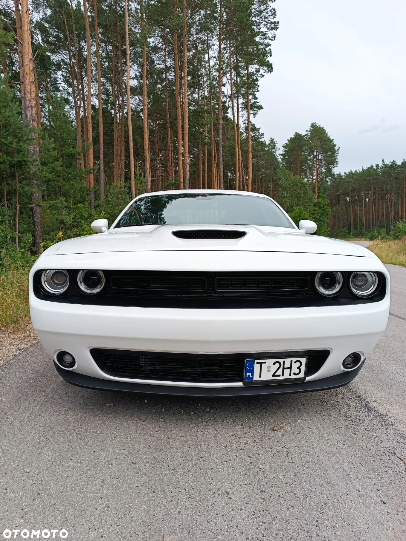Dodge Challenger 6.4 Scat Pack - 2