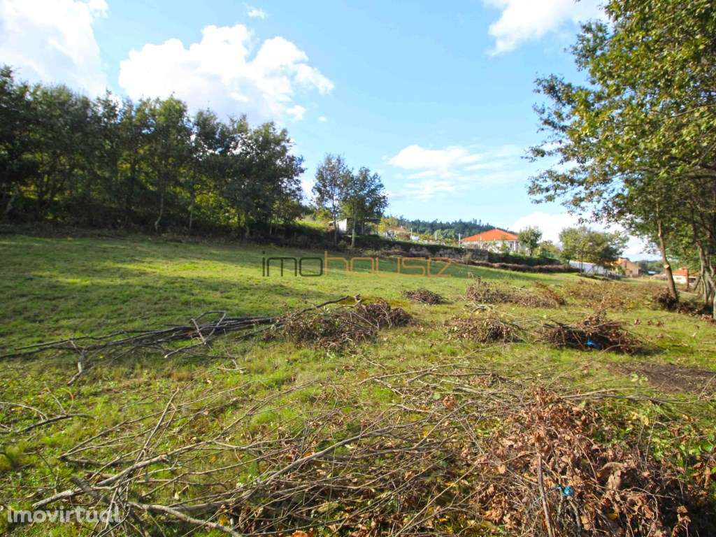 Terreno Vista para o rio Douro - Grande imagem: 4/12