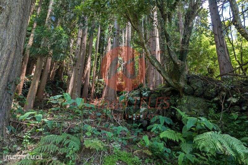 Venda Terreno - Grande imagem: 2/5