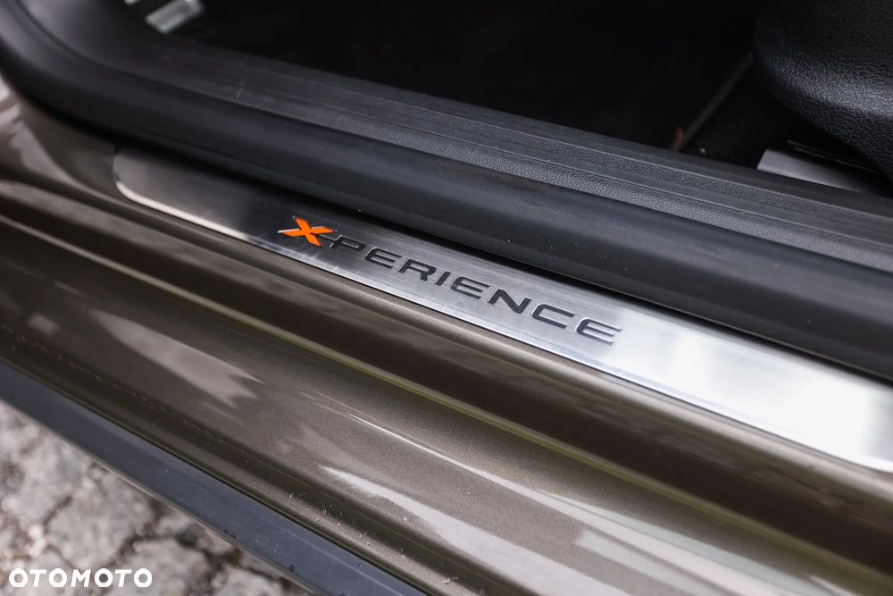 Seat Leon 2.0 TDI X-Perience S&S 4Drive DSG - 19