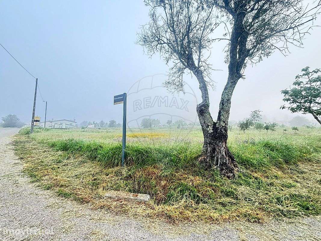 Terreno  para venda - Grande imagem: 2/13