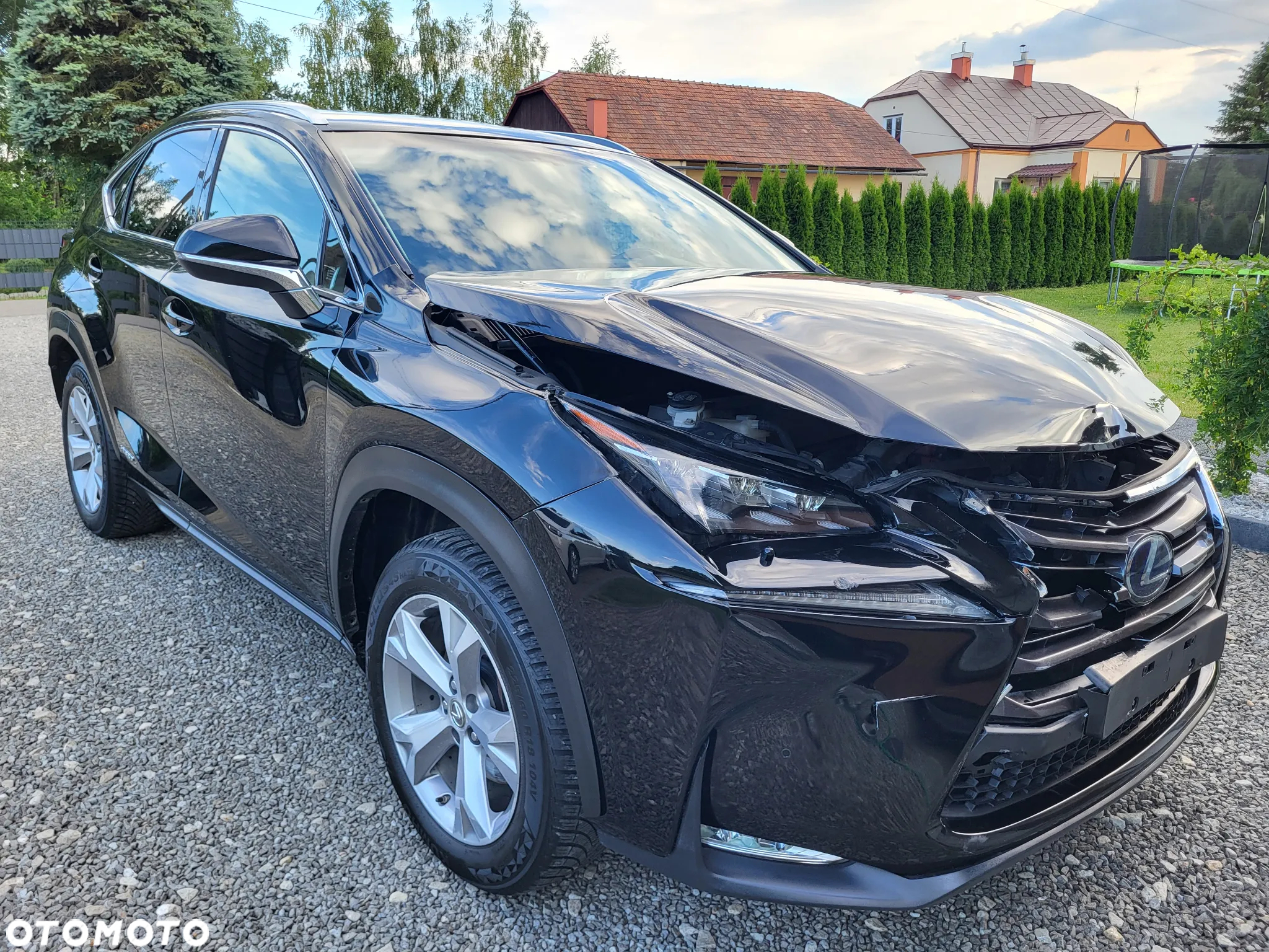 Lexus NX 300h Business Edition - 3