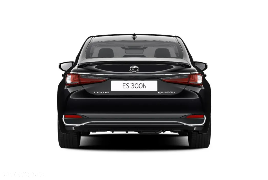Lexus ES 300h Omotenashi - 5