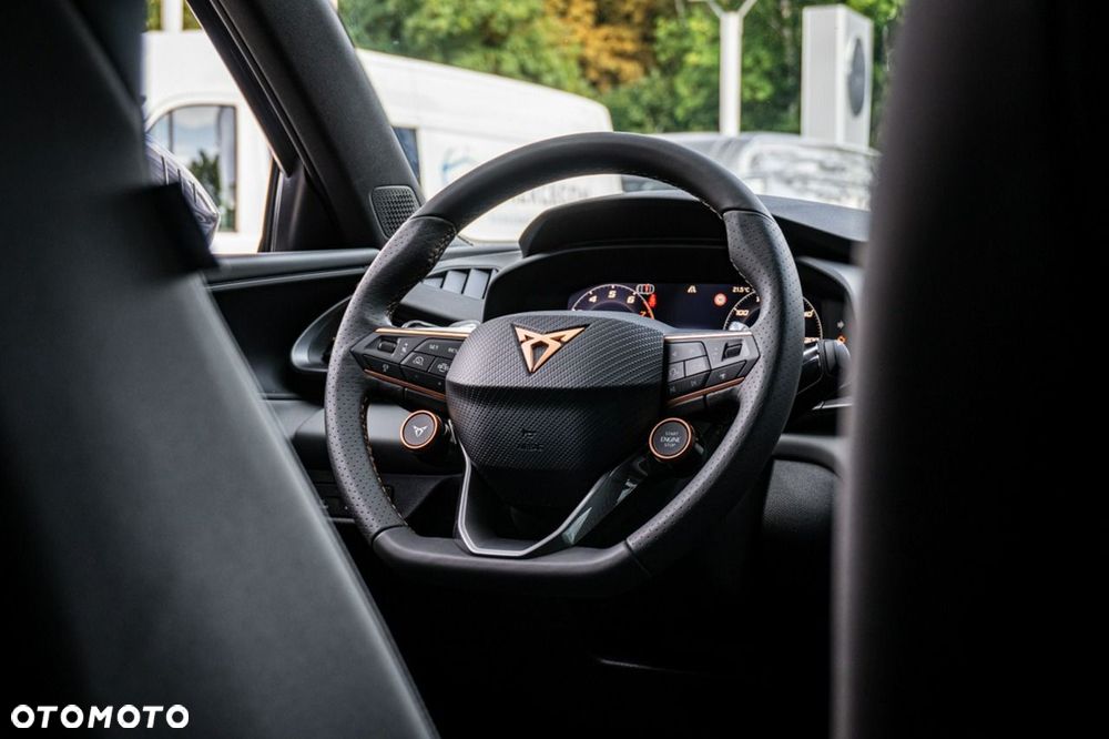 Cupra Terramar - 23