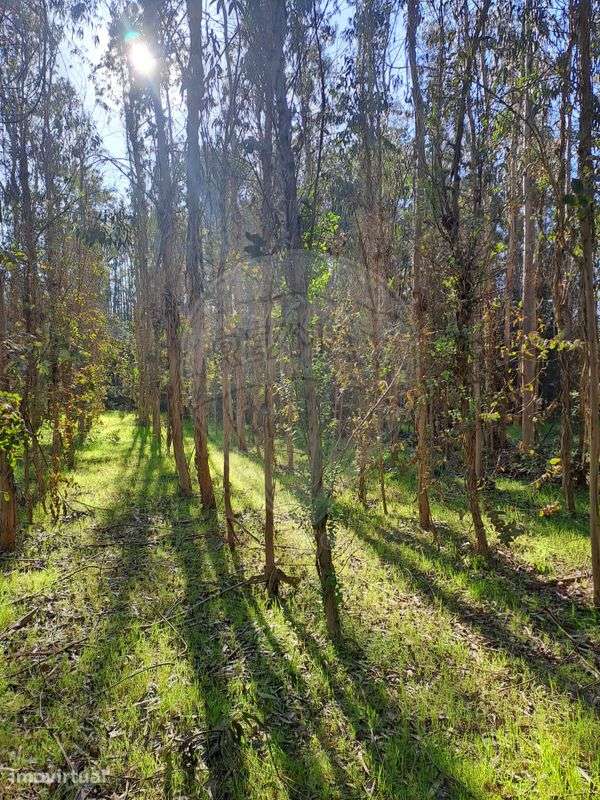Terreno  para venda - Grande imagem: 3/3