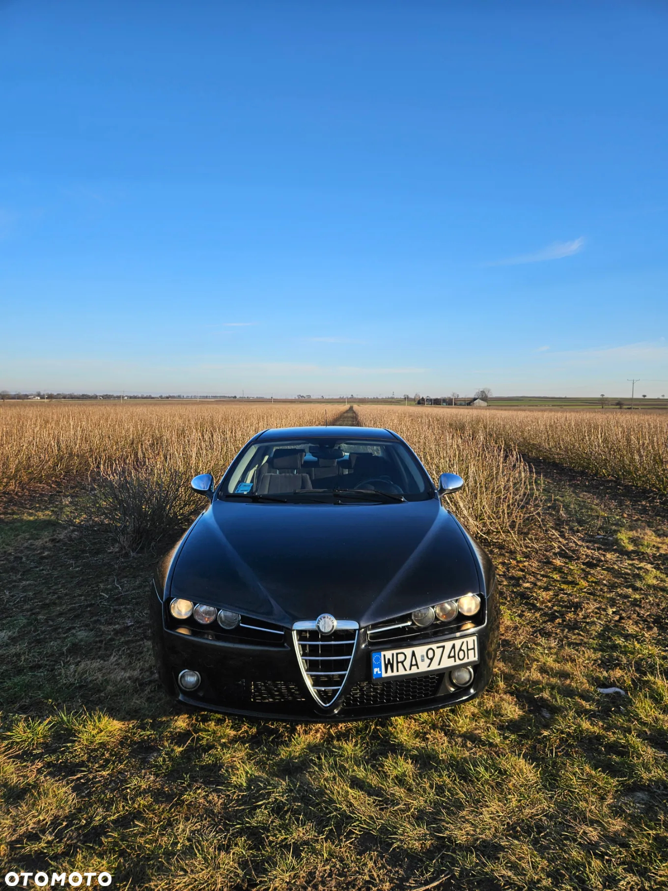 Alfa Romeo 159 1.9JTDM Progression - 11