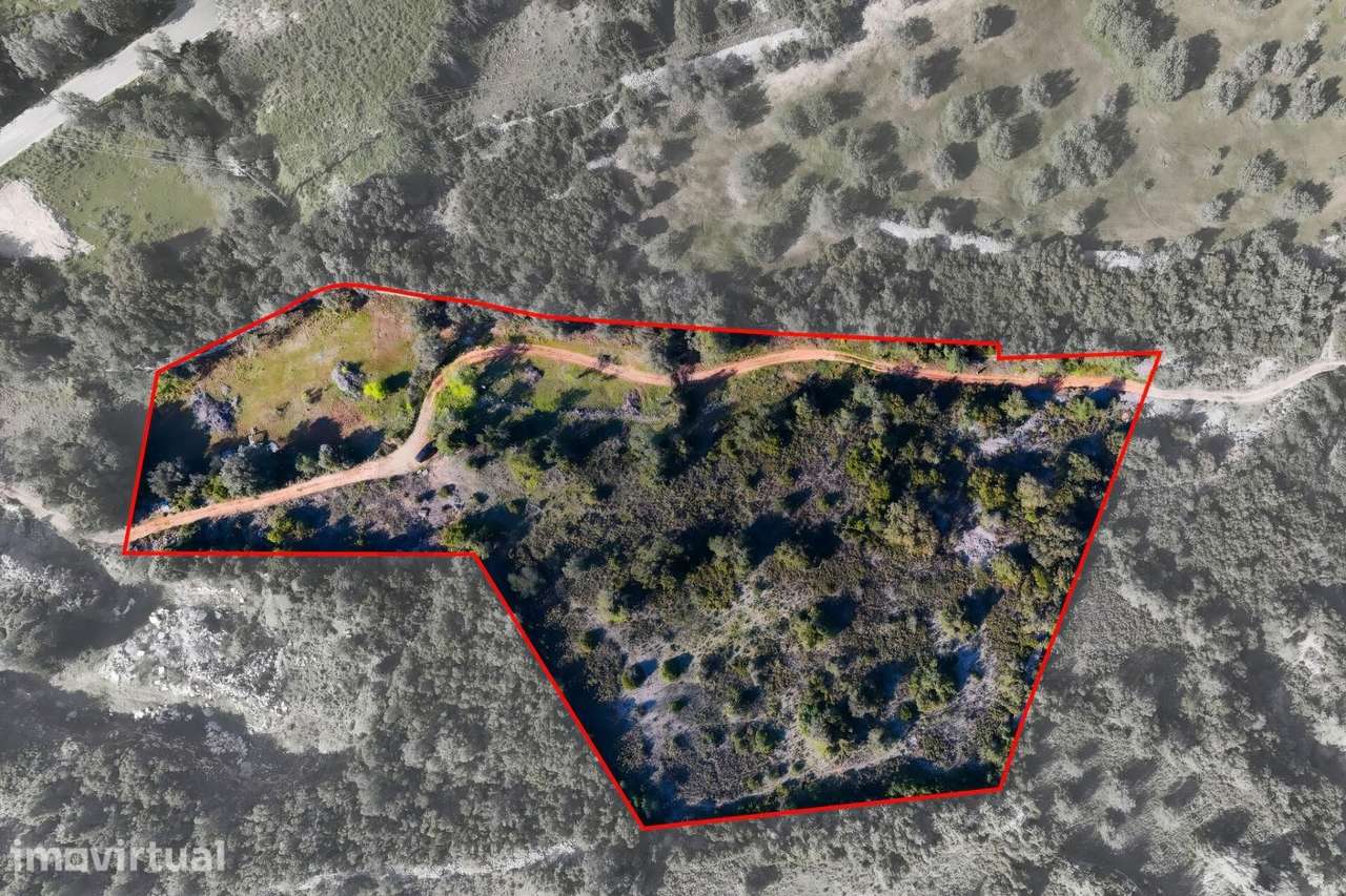 Terreno Rústico com 15.720m2 em Agostos - Santa Barbara de Nexe - Faro - Grande imagem: 2/27