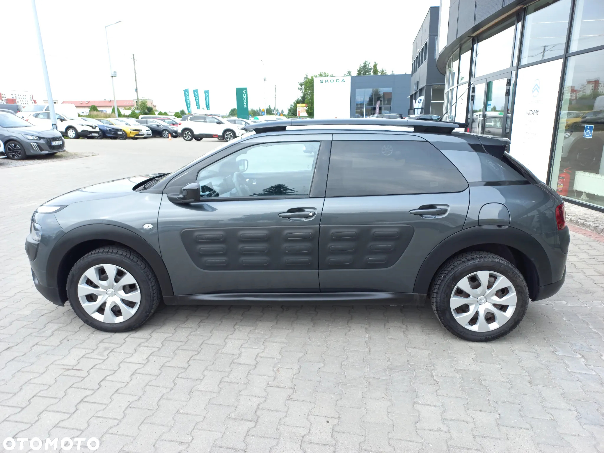 Citroën C4 Cactus 1.2 PureTech Feel S&S - 8