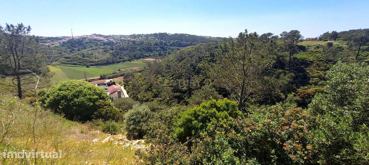 Terreno Rústico em Fonte Boa da Brincosa, Carvoeira -  Mafra - Grande imagem: 3/8