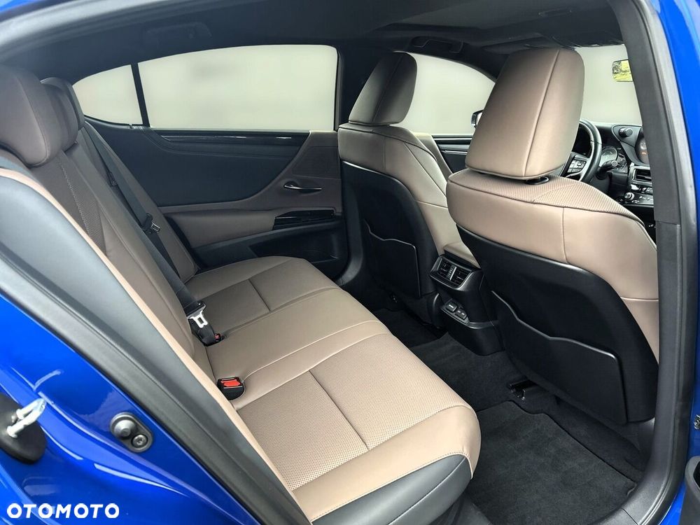 Lexus ES 300h F Sport Design - 17