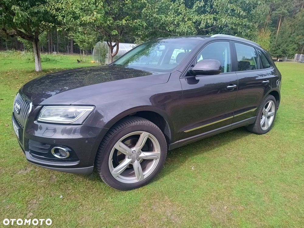 Audi Q5 2.0 TFSI Quattro Tiptr - 17