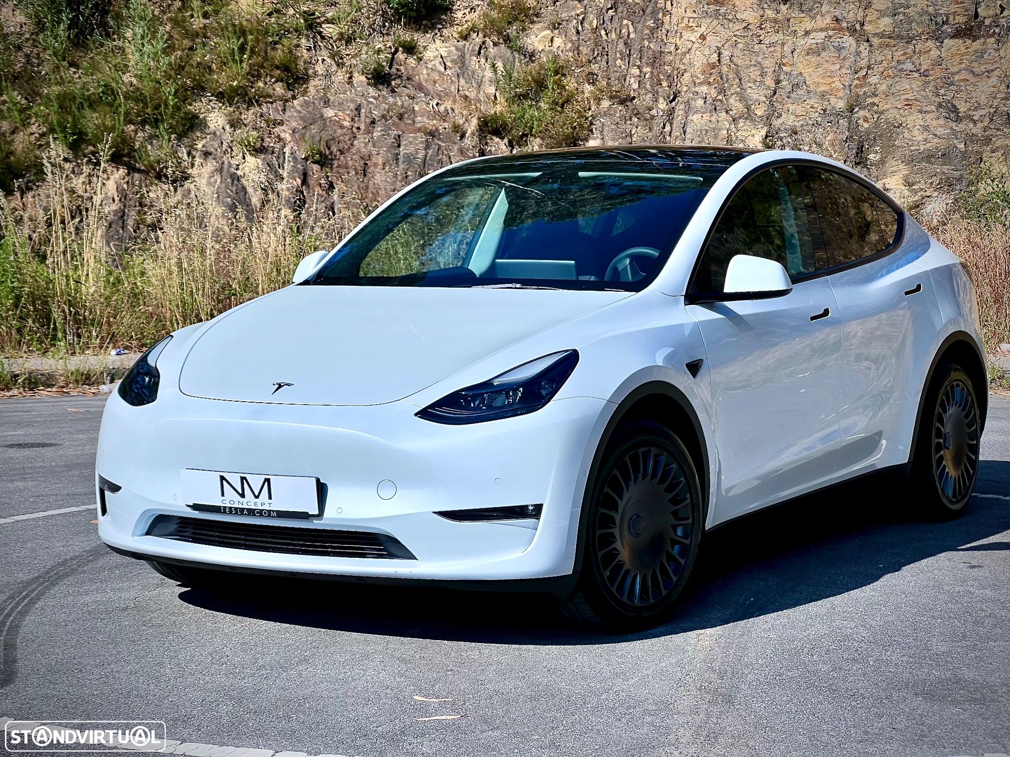 Tesla Model Y Long Range Dual Motor AWD - 1
