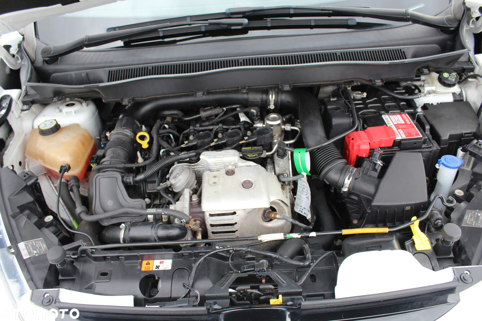 Ford B-MAX 1.0 EcoBoost Titanium - 30