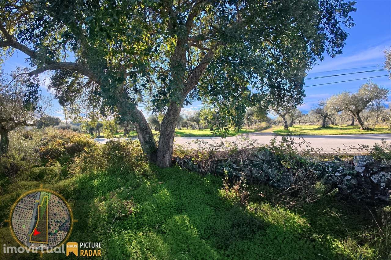 Terreno Plano 6.700m² c/ Vistas Panorâmicas – Salgueiro do Campo - Grande imagem: 5/28