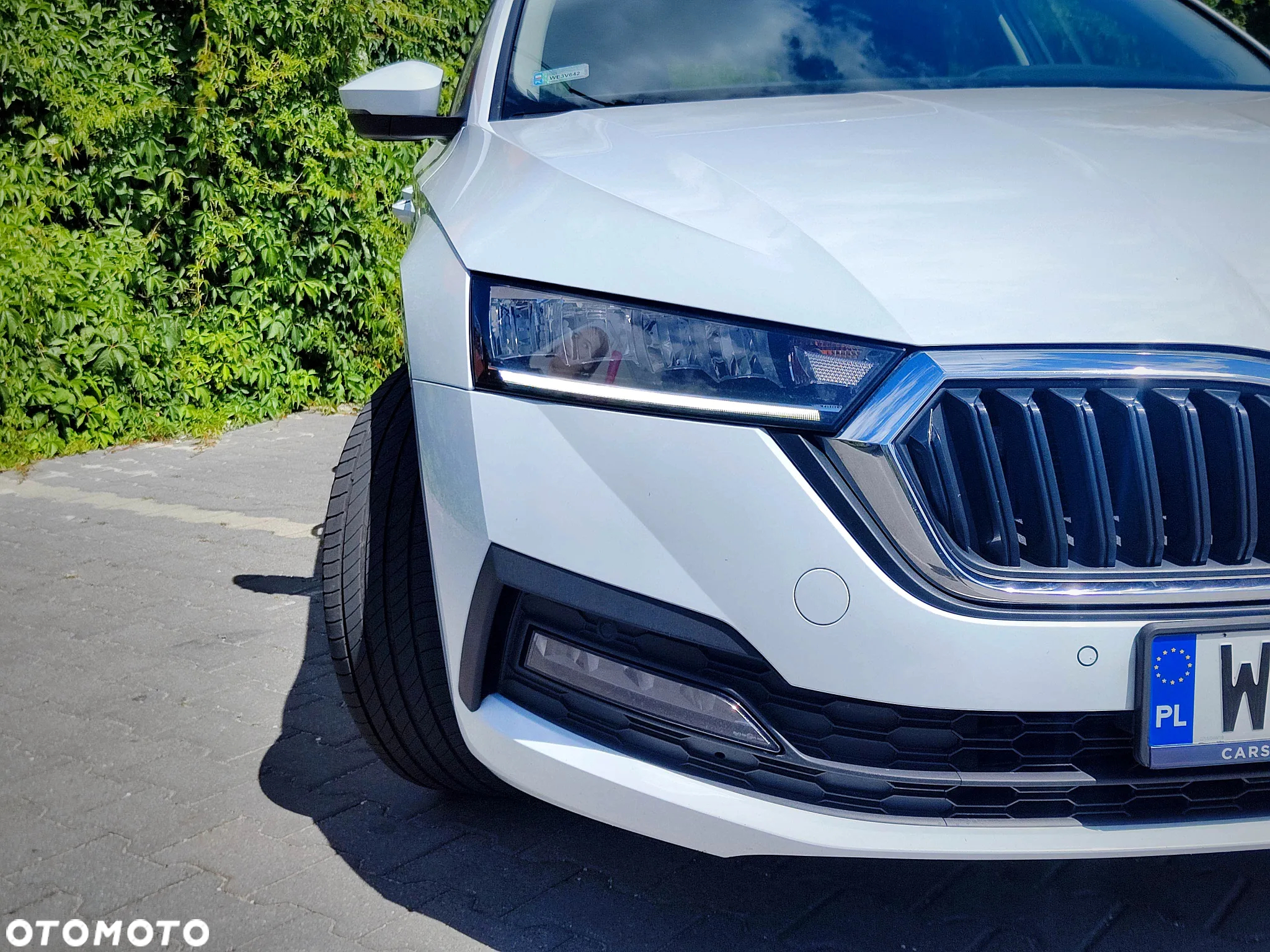 Skoda Octavia 1.5 TSI ACT Ambition DSG - 18