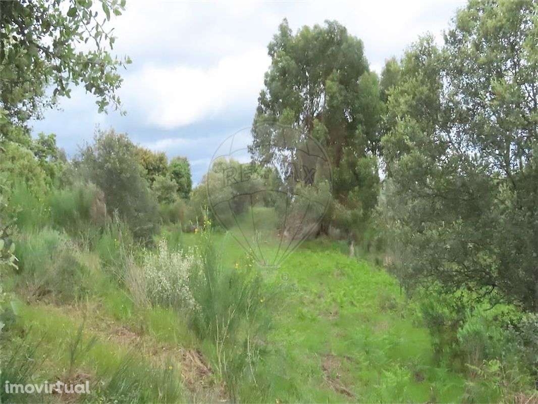 Quinta  para venda - Grande imagem: 4/47