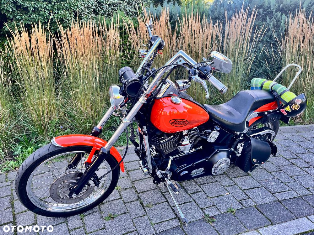 Harley-Davidson Softail Standard - 9