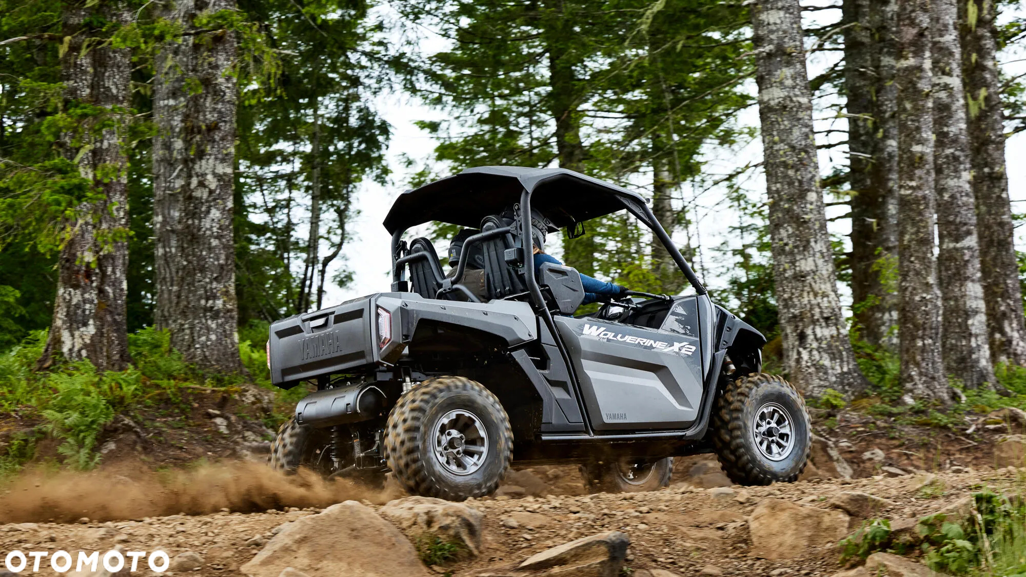 Yamaha Wolverine - 4