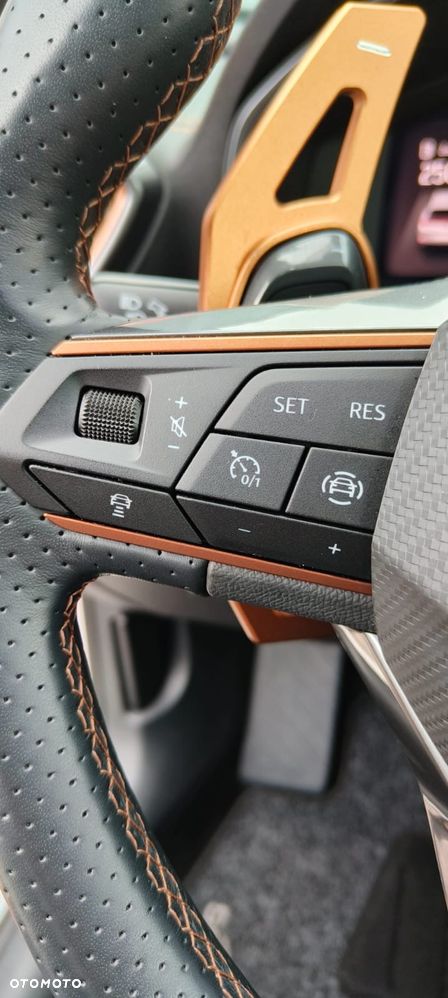 Cupra Formentor 1.5 TSI DSG - 30