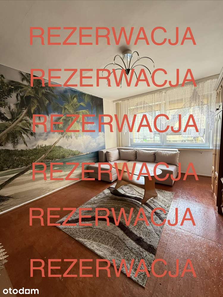 Mieszkanie dwupokojowe 47 m na parterze