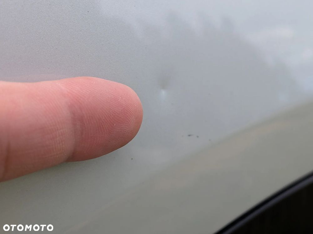 Citroën C4 Cactus 1.6 Blue HDi Shine Edition - 29