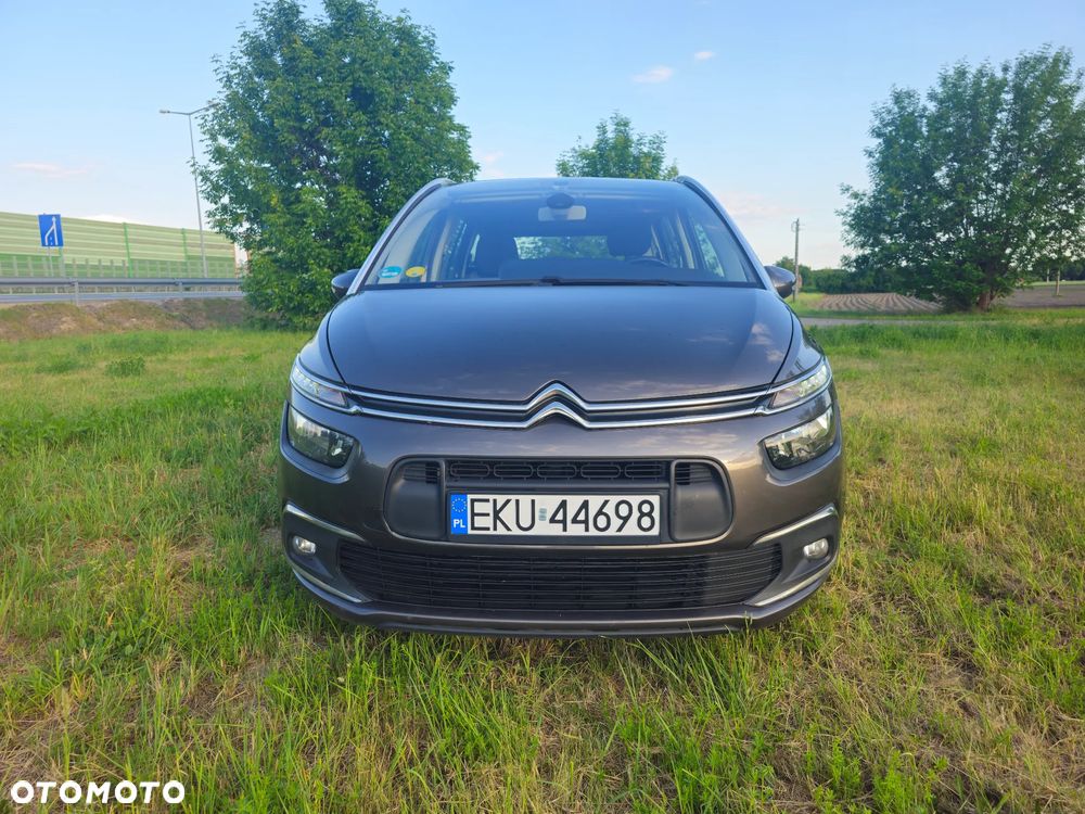 Citroën C4 Grand Picasso 1.6 BlueHDi Shine S&S - 8