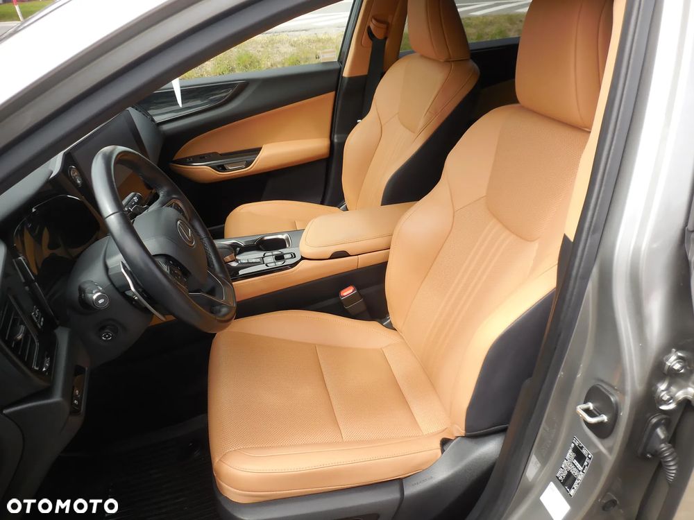 Lexus NX - 26