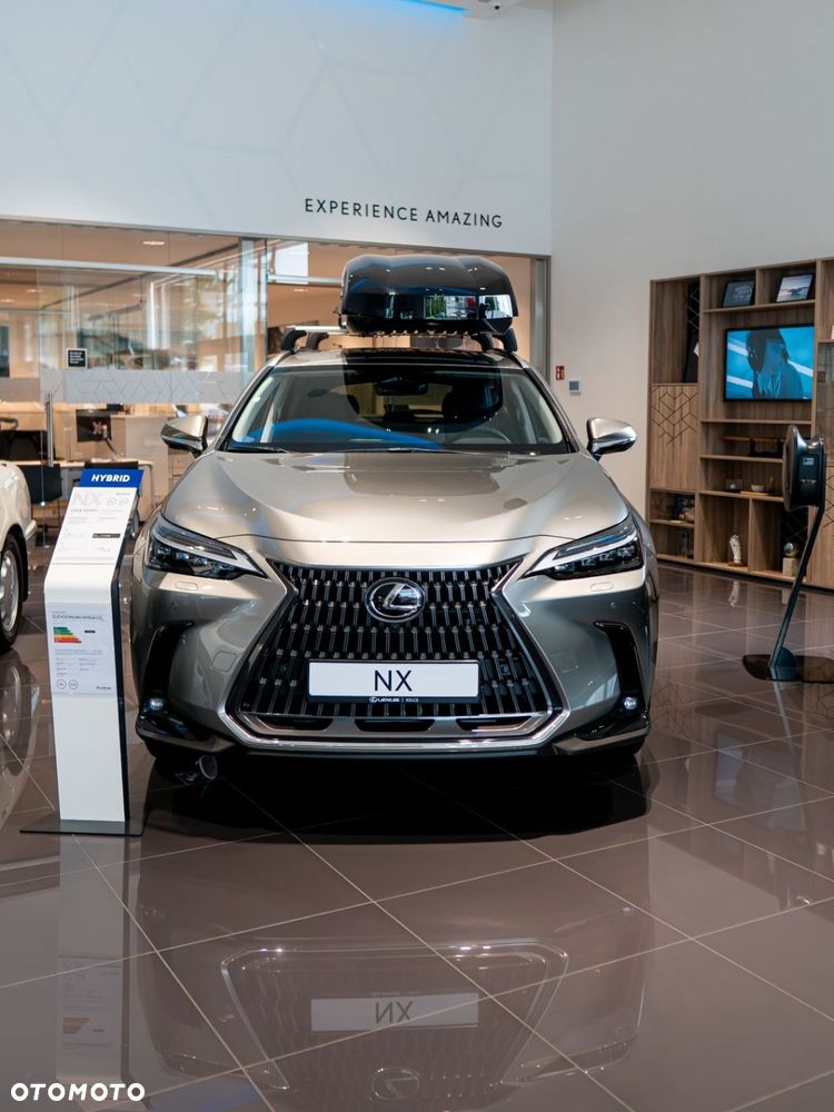 Lexus NX - 2
