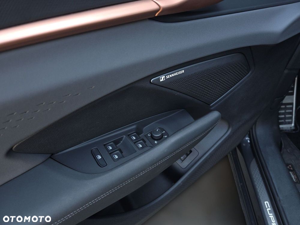 Cupra Terramar 2.0 TSI 4Drive DSG - 11