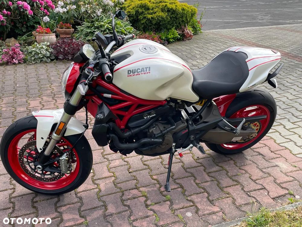 Ducati Monster - 1