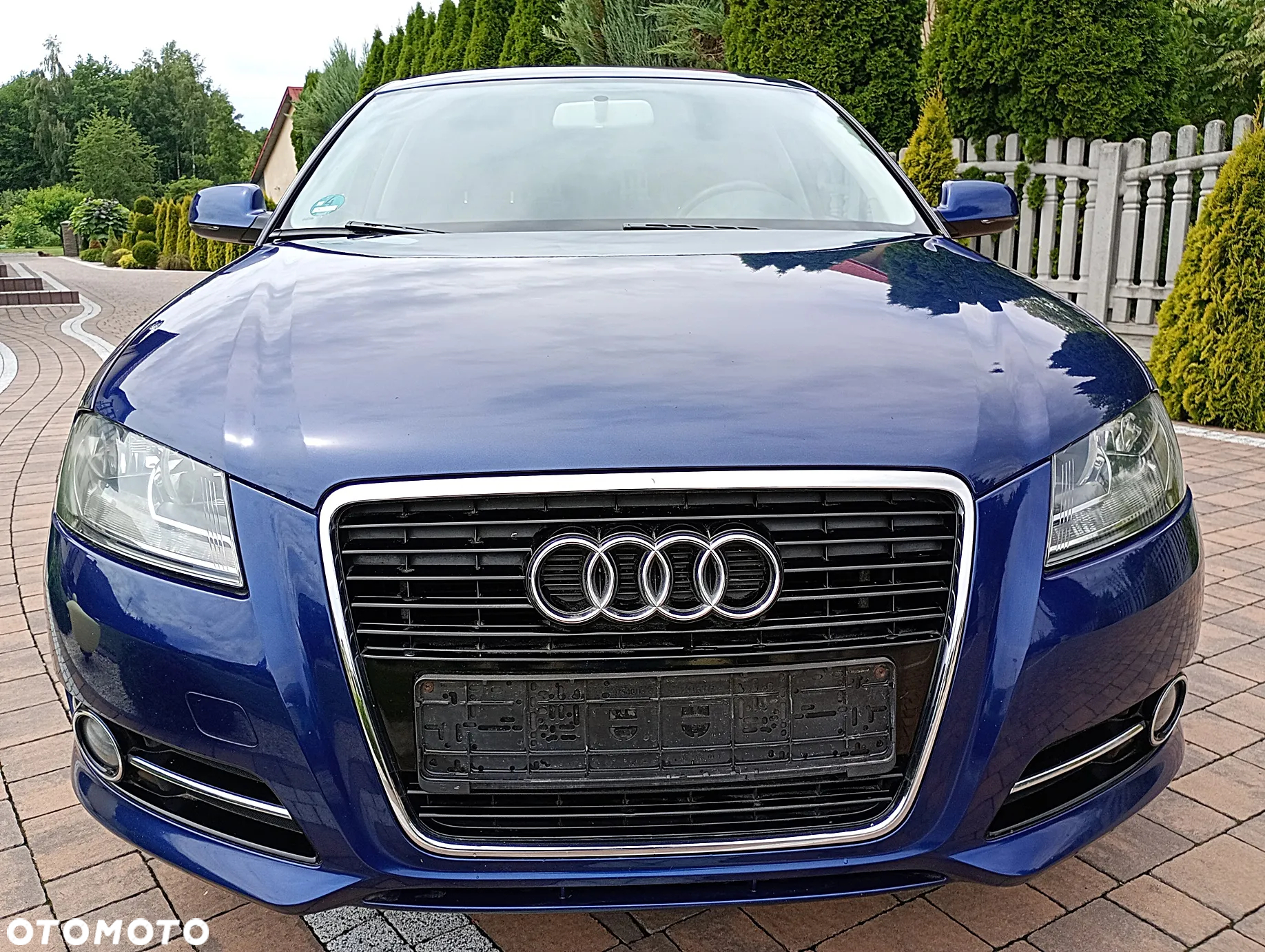 Audi A3 1.6 TDI Ambiente - 17