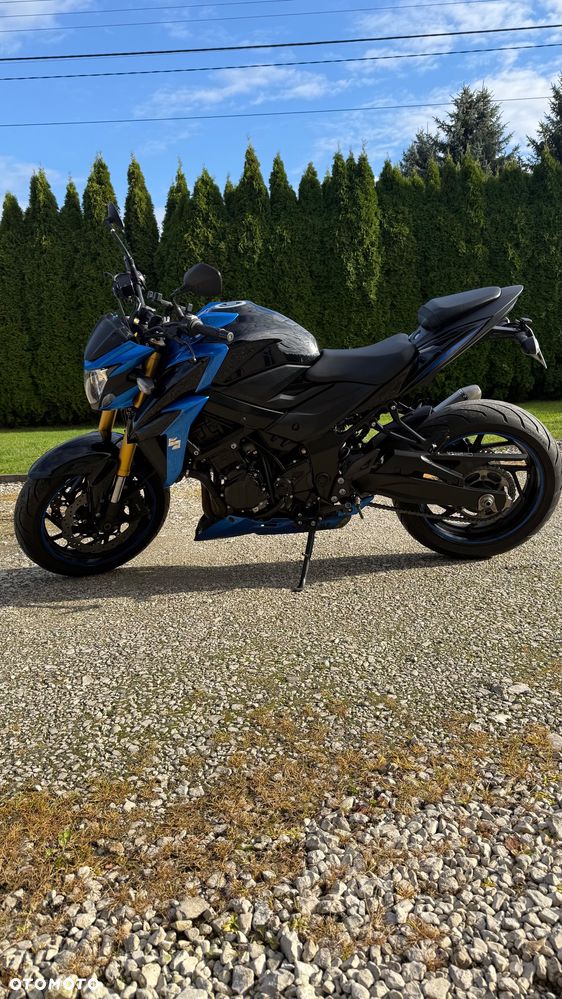 Suzuki GSX - 10