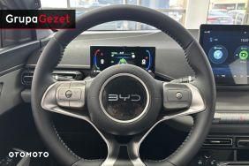 BYD Dolphin Surf - 12