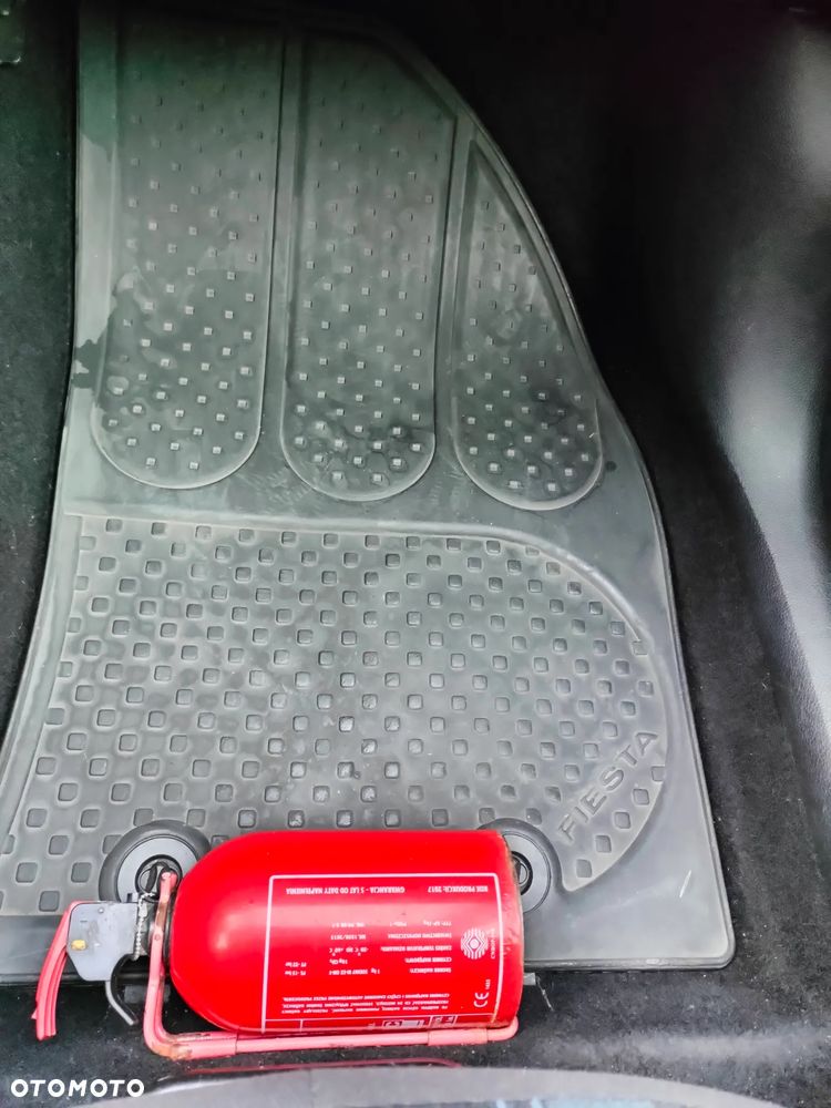 Ford Fiesta 1.25 - 17