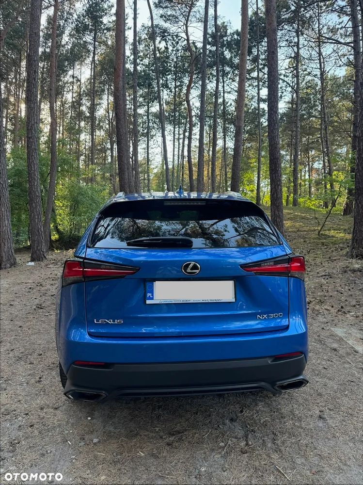 Lexus NX 300 Elegance AWD - 8