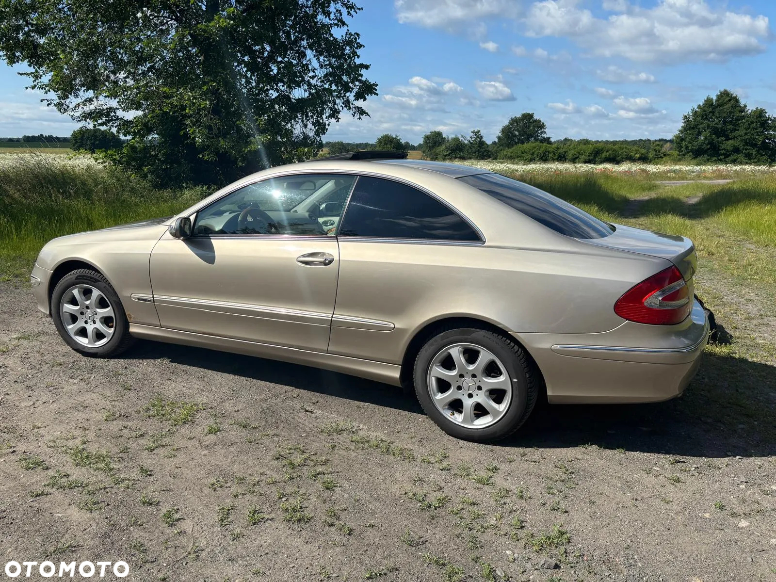 Mercedes-Benz CLK - 8