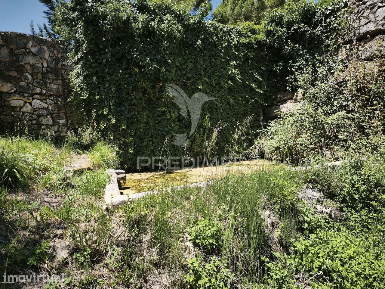 Terreno Rustico com cerca de 5400 m² - Grande imagem: 3/8