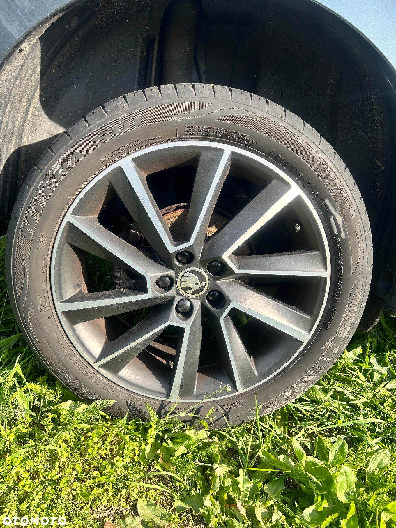 Skoda Kamiq 1.0 TSI Drive 125 - 24