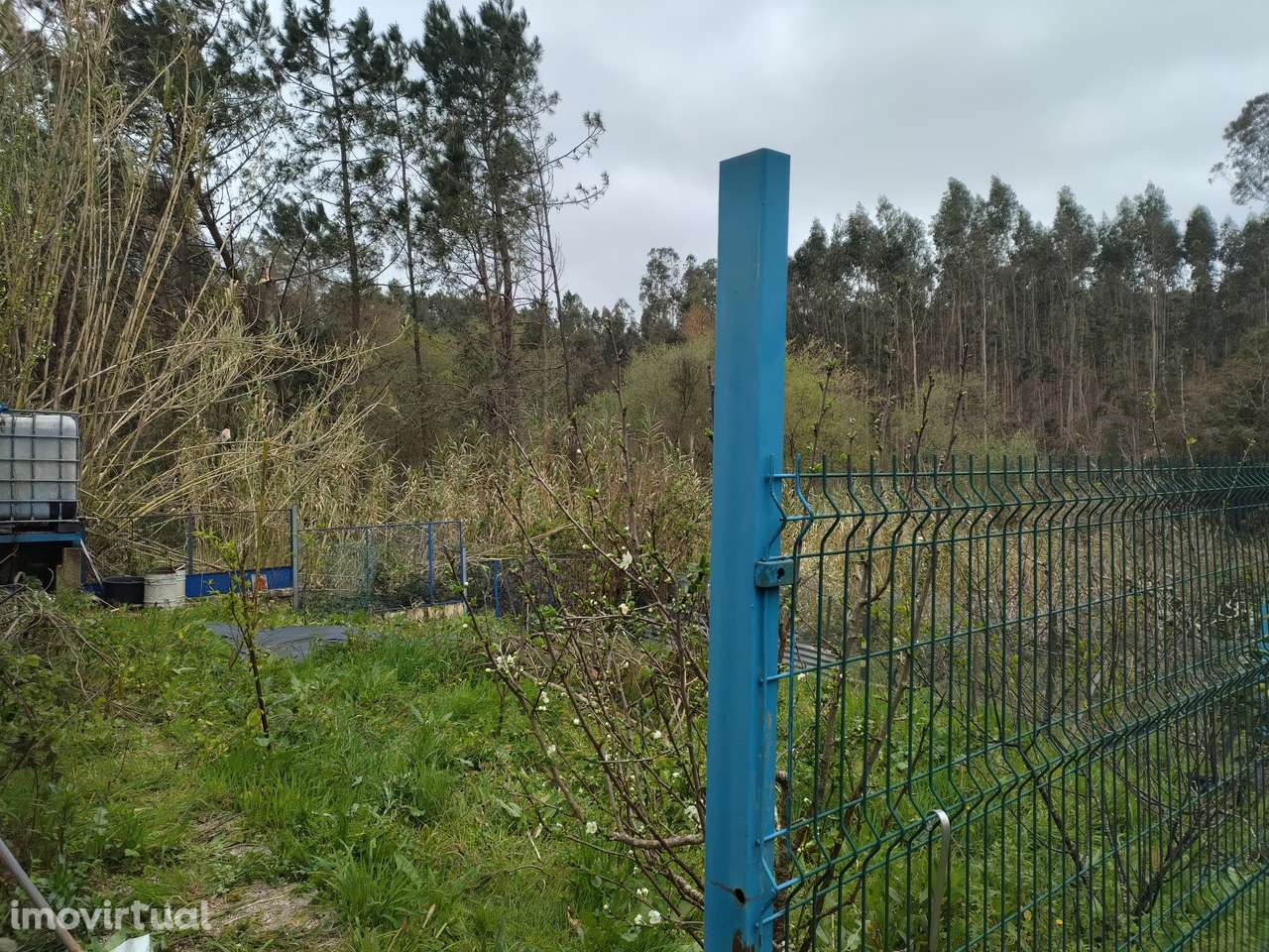 Apartamento T3 - Grande imagem: 2/15