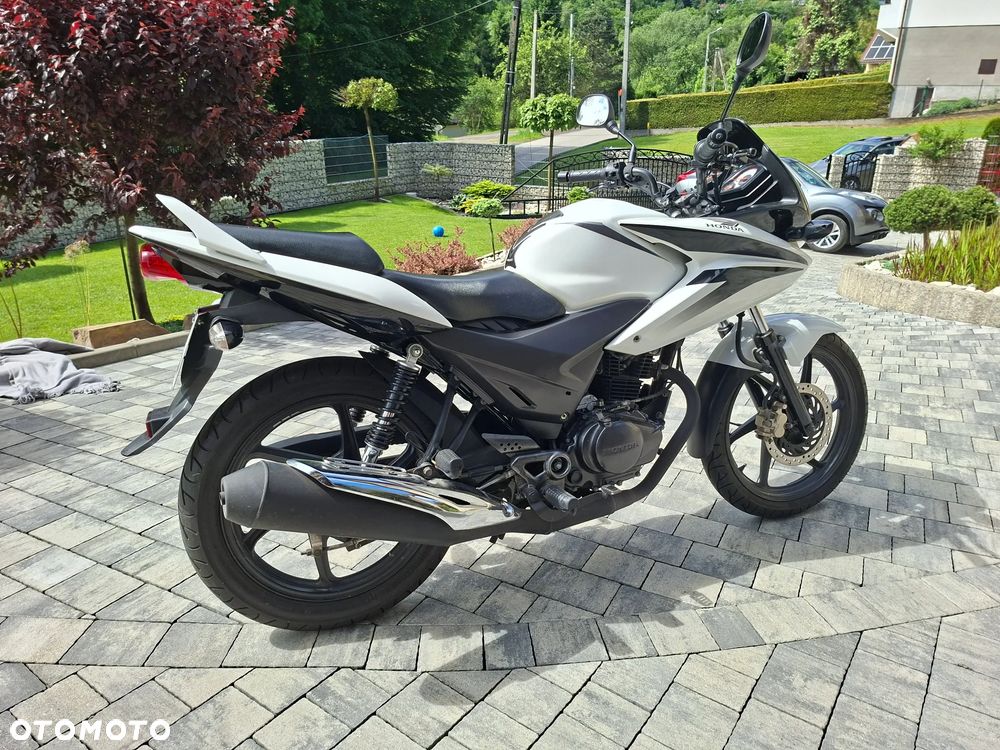 Honda CBF - 8