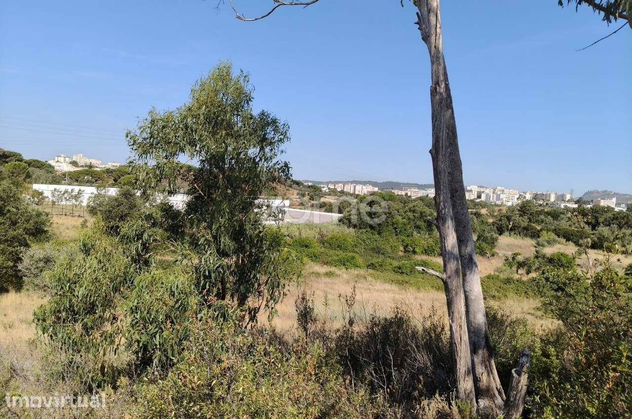 Terreno com 36.760 m² em São Sebastião, Setúbal - Grande imagem: 5/7