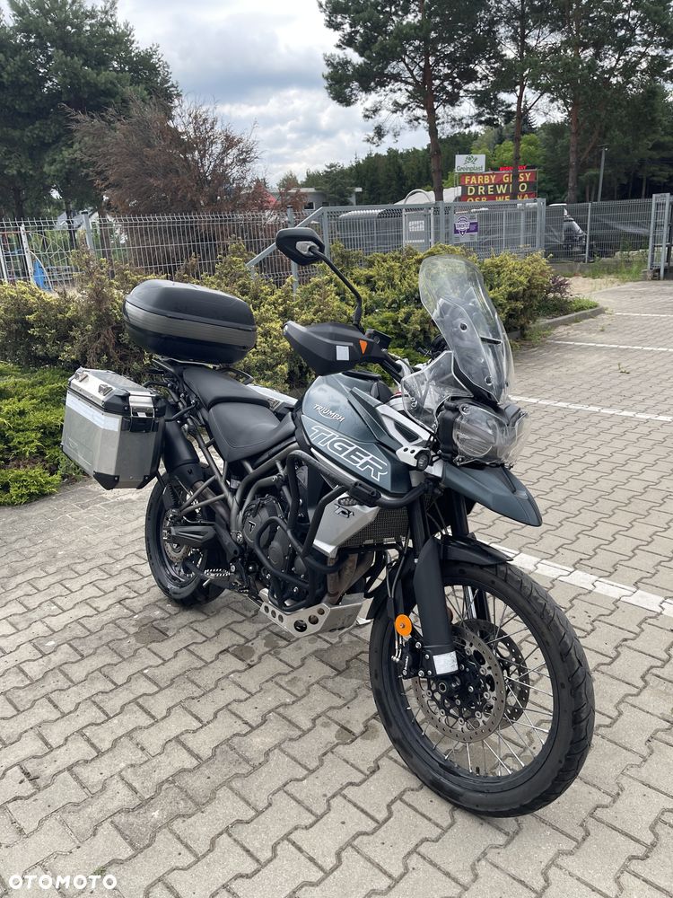 Triumph Tiger - 13