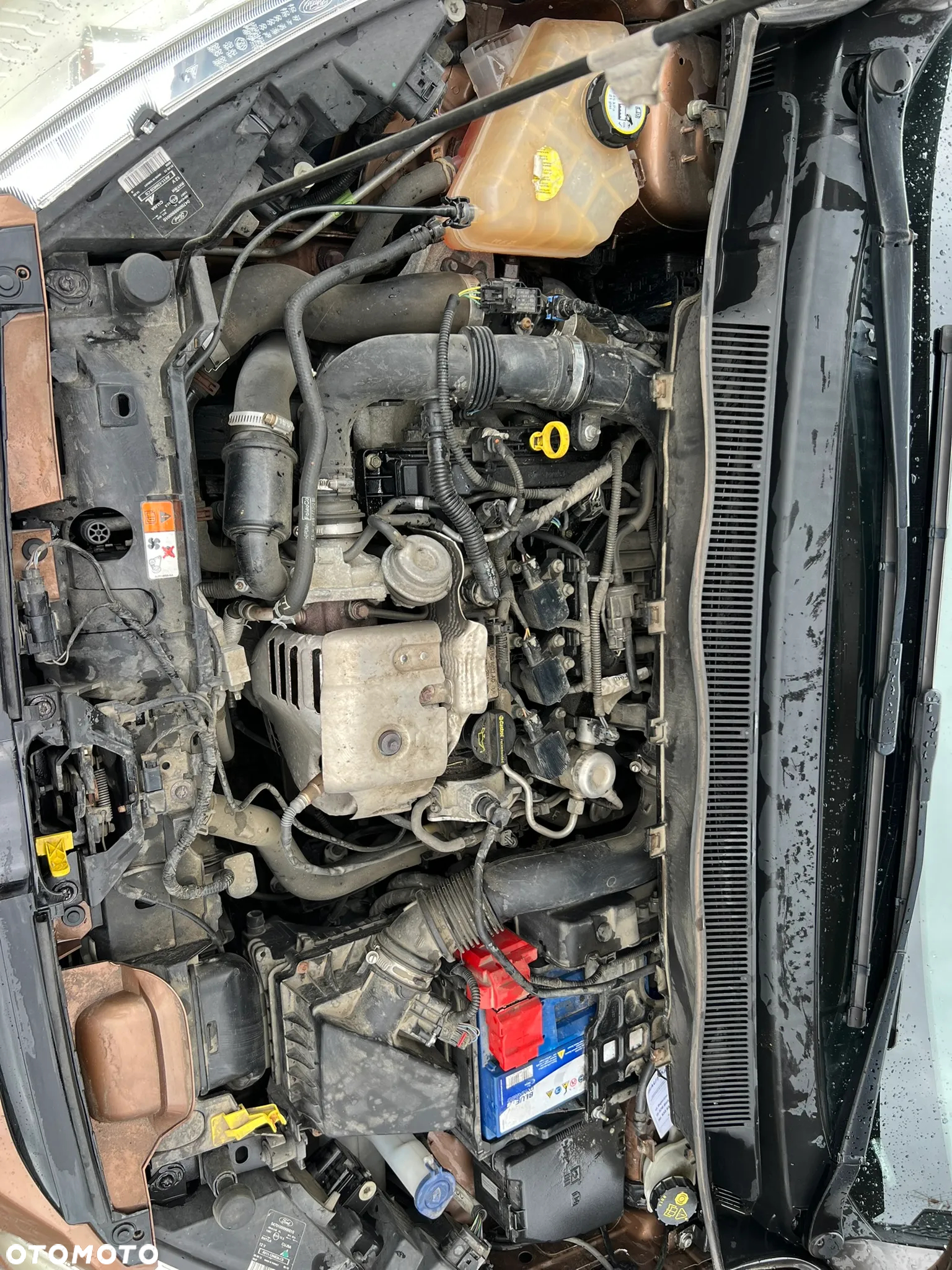 Ford B-MAX - 16