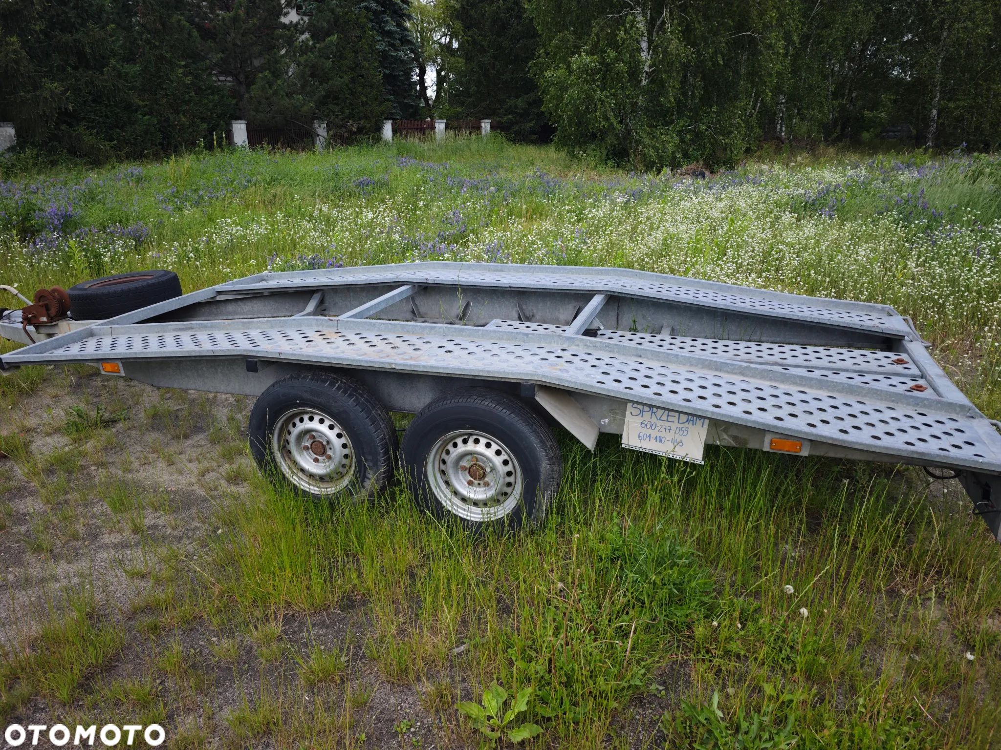 Syriusz L9077 - 1
