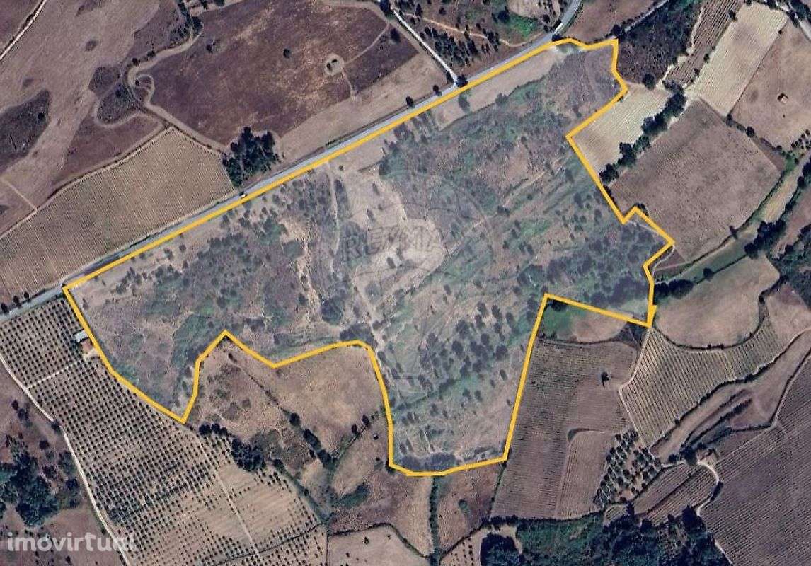 Quinta T0 para venda - Grande imagem: 3/33