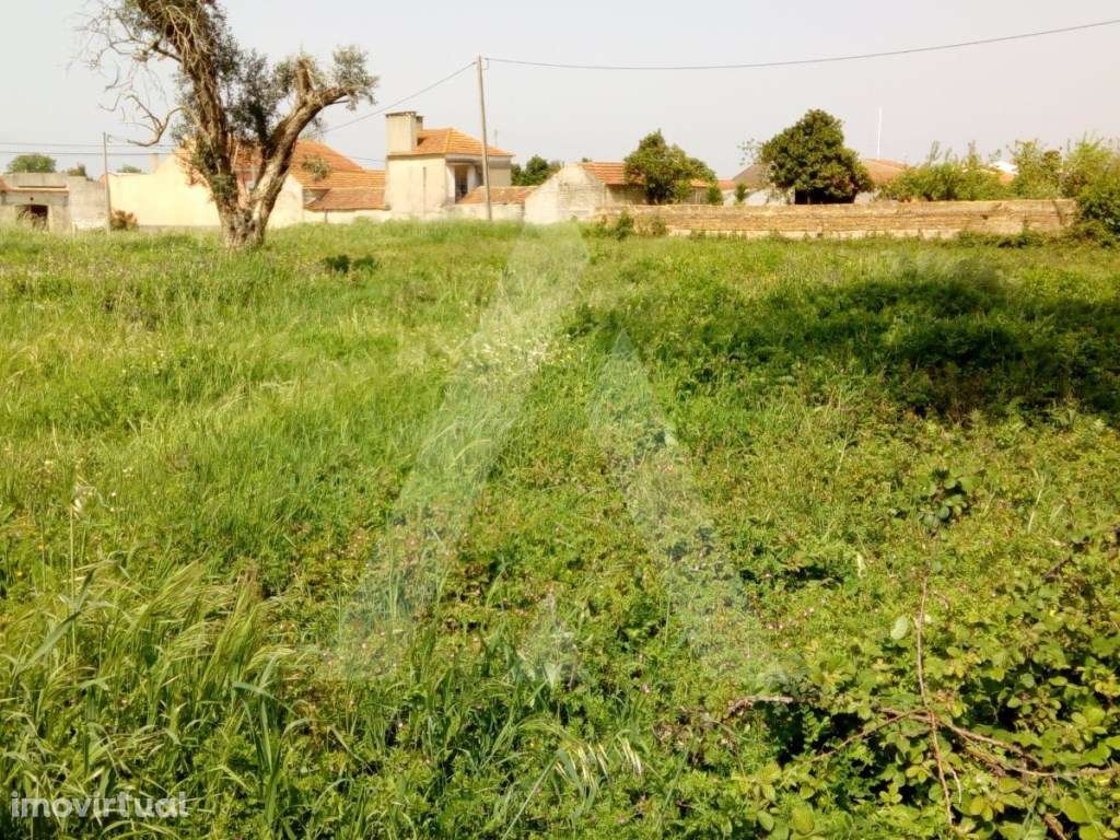 Lote de terreno para construção na Palhaça - Grande imagem: 2/7