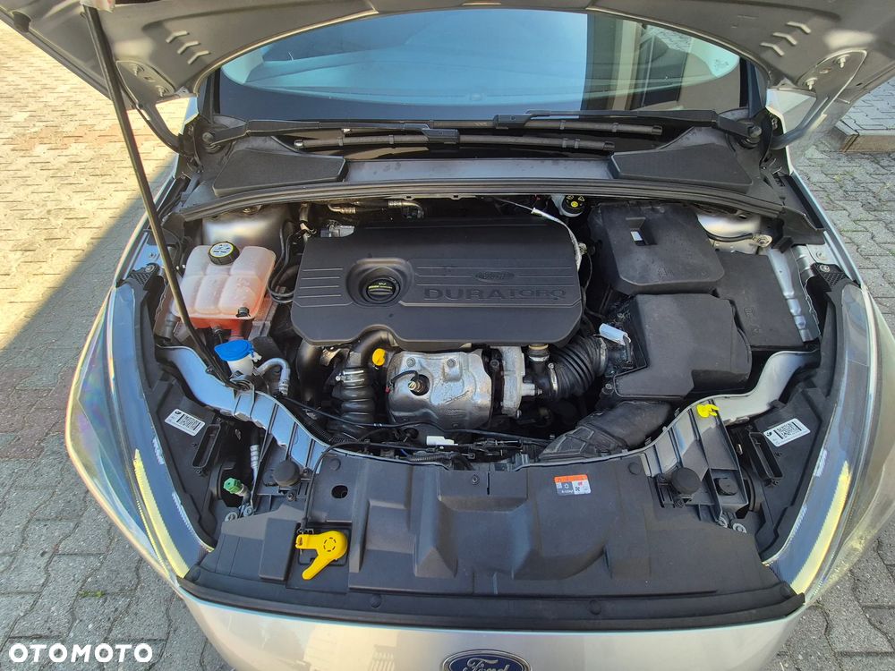 Ford Focus - 18